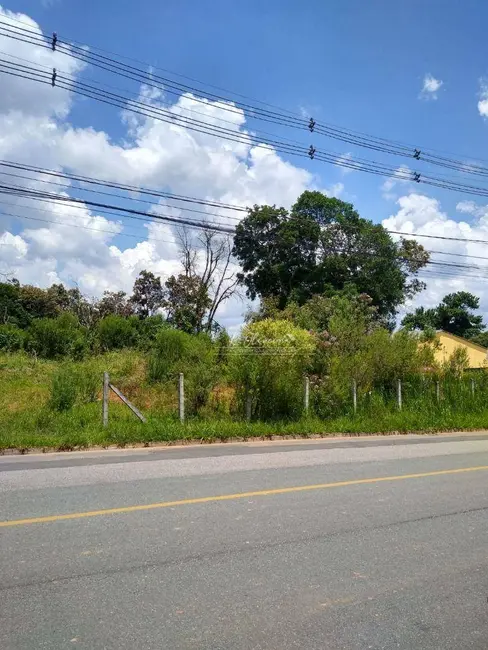 Foto 9 de Terreno / Lote à venda, 5549m2 em Sao Jose Dos Pinhais - PR
