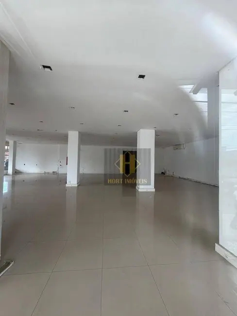 Sala Comercial para alugar, 360m2 em Meia Praia, Itapema - SC - imagem 9 Foto 9 de Sala Comercial para alugar, 360m2 em Meia Praia, Itapema - SC