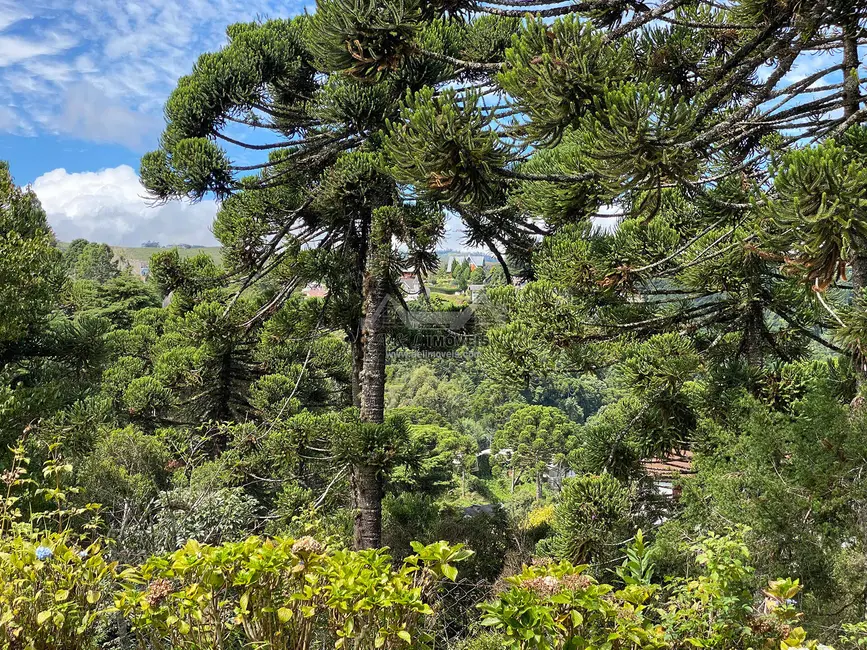 Casa com 3 quartos à venda, 229m2 em Campos Do Jordao - SP - imagem 8 Foto 8 de Casa com 3 quartos à venda, 229m2 em Campos Do Jordao - SP