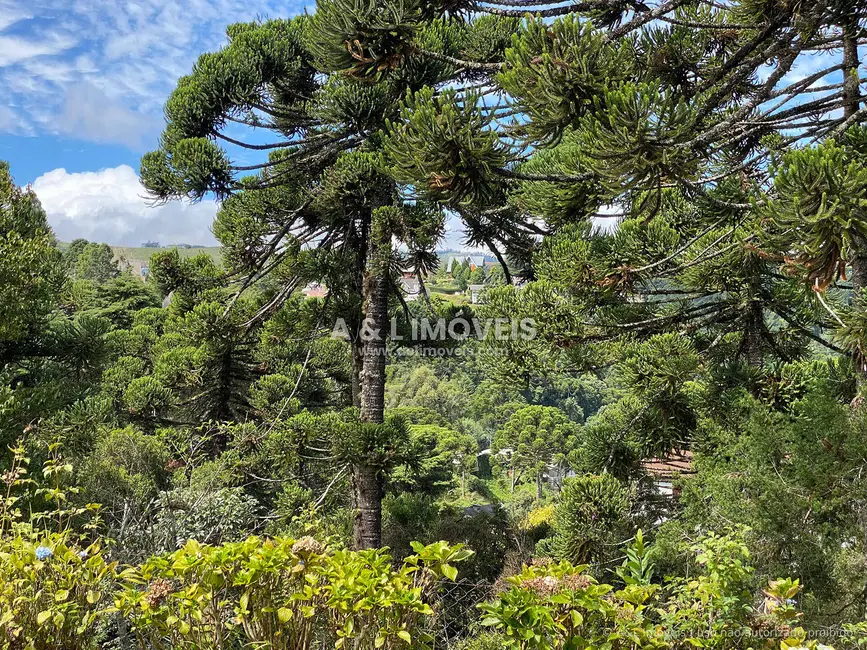 Casa com 3 quartos à venda, 229m2 em Campos Do Jordao - SP - imagem 8 Foto 8 de Casa com 3 quartos à venda, 229m2 em Campos Do Jordao - SP