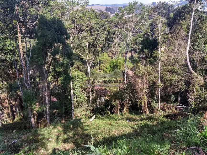 Foto 8 de Terreno / Lote à venda, 1300m2 em Campos Do Jordao - SP