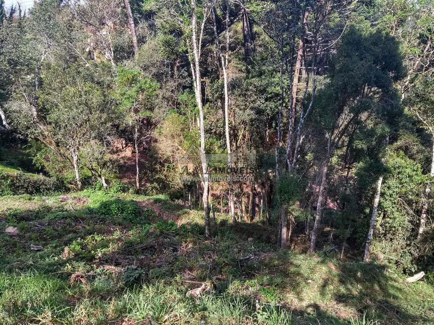 Foto 7 de Terreno / Lote à venda, 1300m2 em Campos Do Jordao - SP