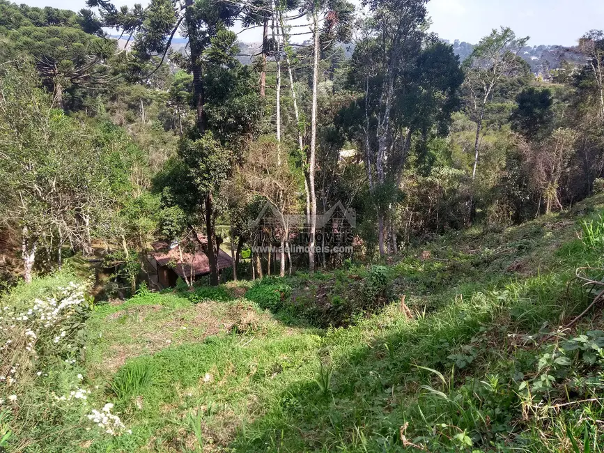 Foto 1 de Terreno / Lote à venda, 1300m2 em Campos Do Jordao - SP