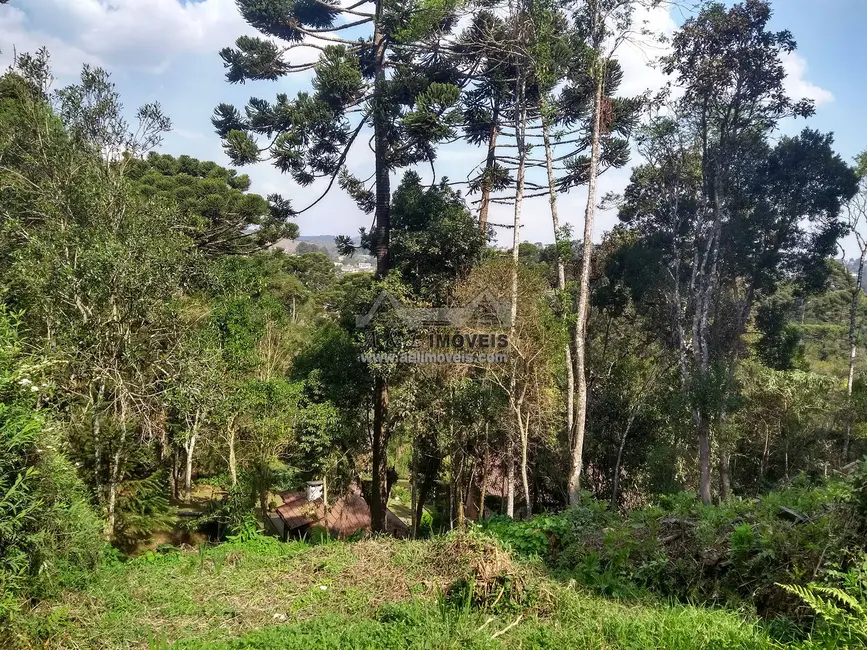 Foto 5 de Terreno / Lote à venda, 1300m2 em Campos Do Jordao - SP