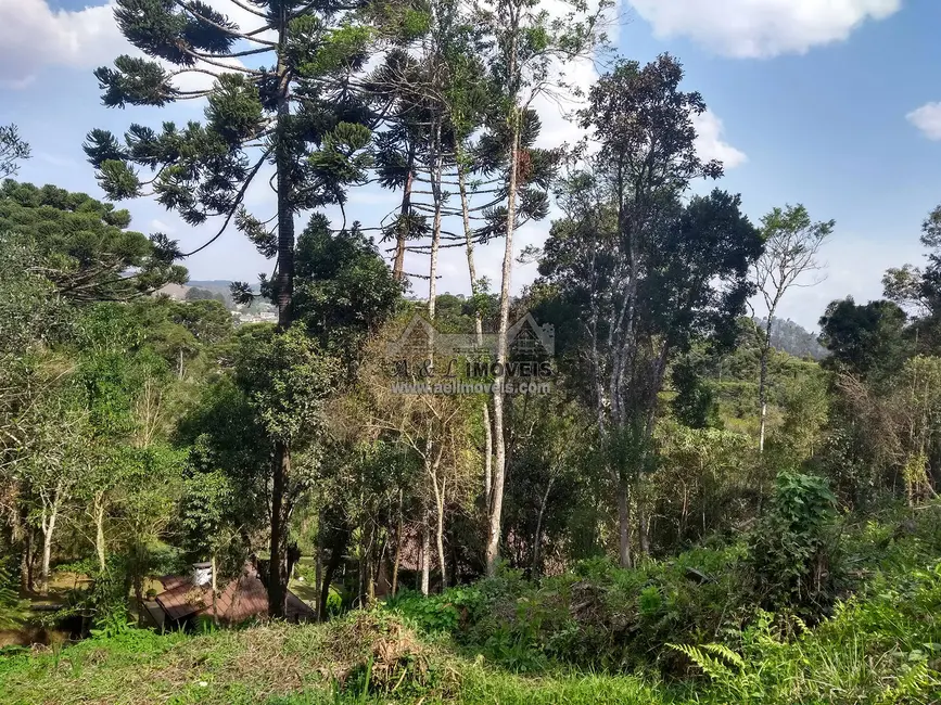 Foto 4 de Terreno / Lote à venda, 1300m2 em Campos Do Jordao - SP