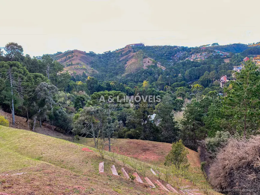Terreno / Lote à venda, 6111m2 em Campos Do Jordao - SP - imagem 7 Foto 7 de Terreno / Lote à venda, 6111m2 em Campos Do Jordao - SP