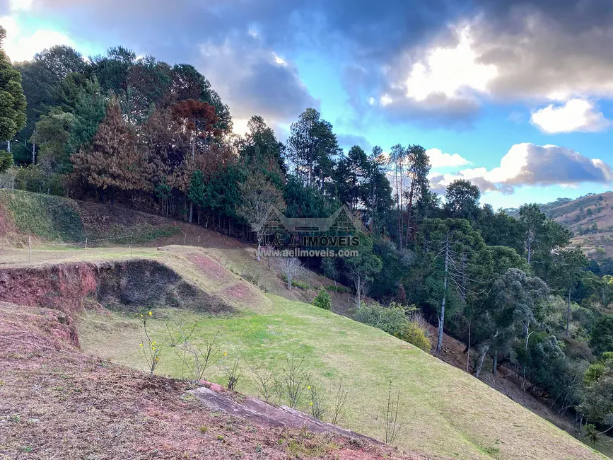 Terreno / Lote à venda, 6111m2 em Campos Do Jordao - SP - imagem 8 Foto 8 de Terreno / Lote à venda, 6111m2 em Campos Do Jordao - SP