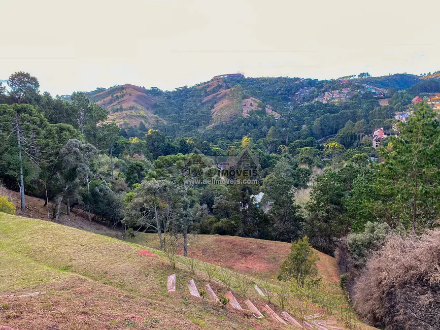Terreno / Lote à venda, 6111m2 em Campos Do Jordao - SP - imagem 7 Foto 7 de Terreno / Lote à venda, 6111m2 em Campos Do Jordao - SP