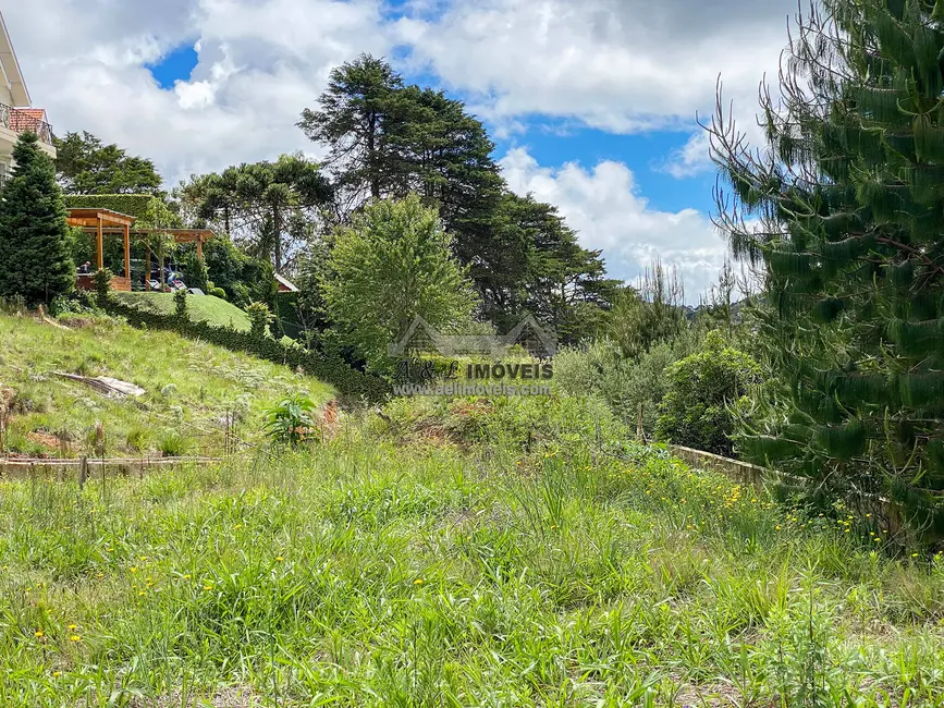 Foto 5 de Terreno / Lote à venda, 2055m2 em Campos Do Jordao - SP