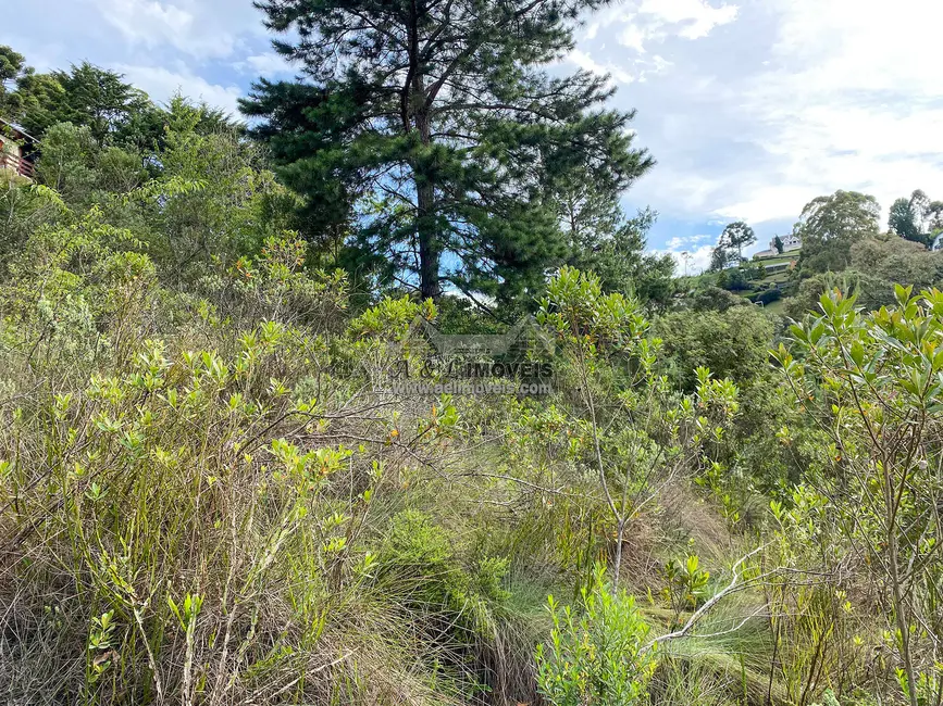 Terreno / Lote à venda, 1180m2 em Campos Do Jordao - SP - imagem 8 Foto 8 de Terreno / Lote à venda, 1180m2 em Campos Do Jordao - SP