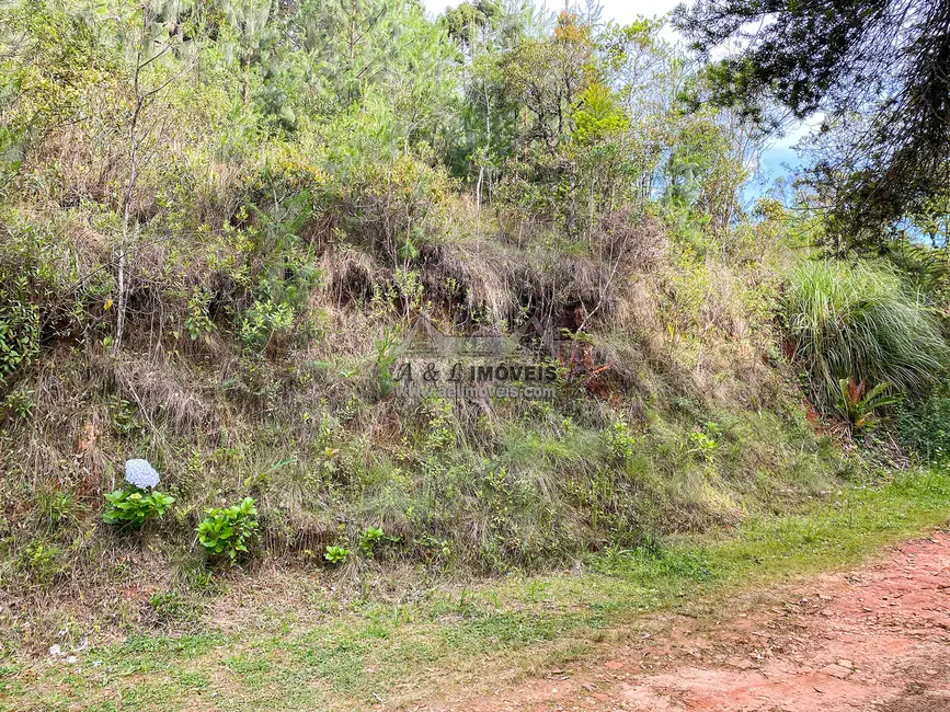 Terreno / Lote à venda, 1180m2 em Campos Do Jordao - SP - imagem 6 Foto 6 de Terreno / Lote à venda, 1180m2 em Campos Do Jordao - SP