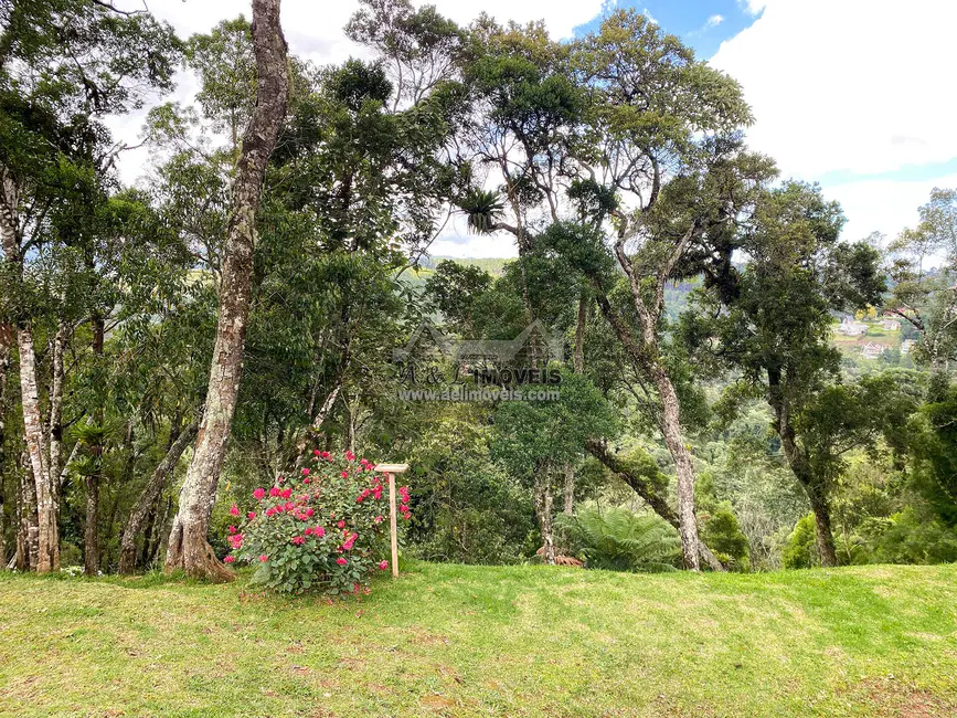 Foto 4 de Lote de Condomínio à venda, 1112m2 em Campos Do Jordao - SP