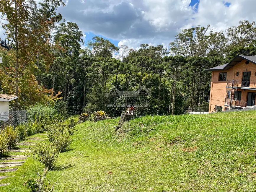 Foto 5 de Lote de Condomínio à venda, 1302m2 em Campos Do Jordao - SP