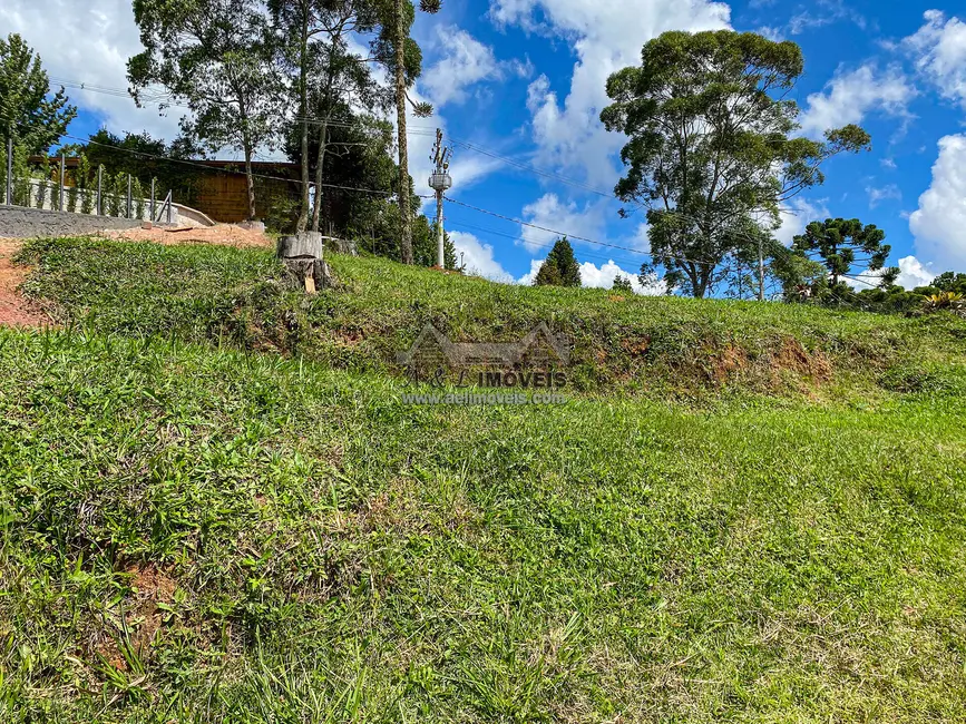 Foto 4 de Lote de Condomínio à venda, 1302m2 em Campos Do Jordao - SP