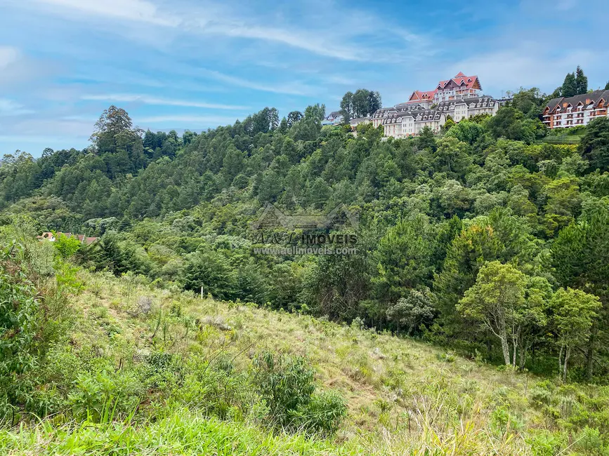 Foto 6 de Terreno / Lote à venda, 2507m2 em Campos Do Jordao - SP