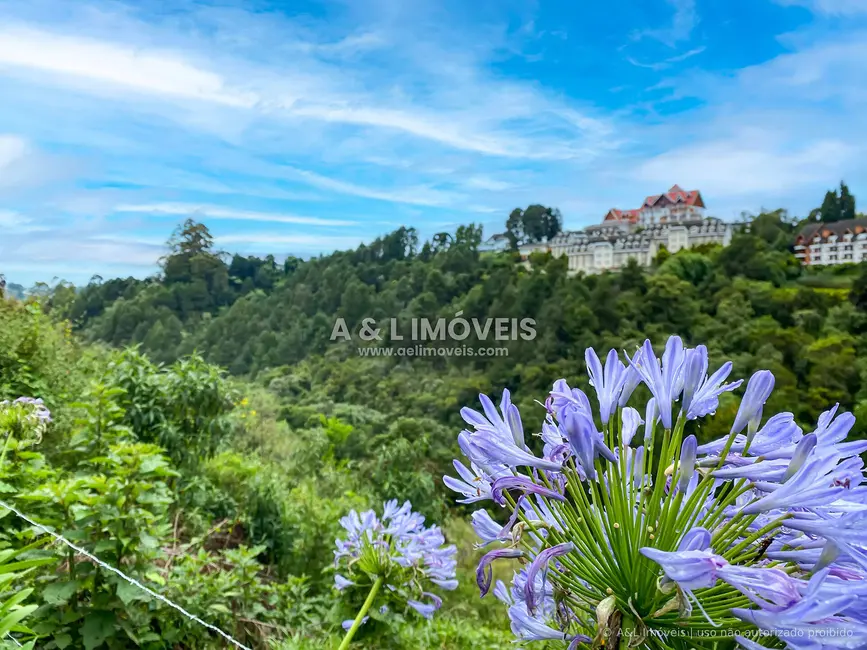 Foto 7 de Terreno / Lote à venda, 2507m2 em Campos Do Jordao - SP