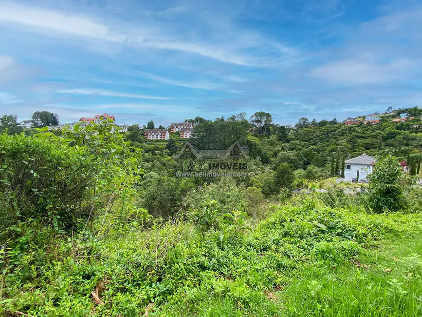Foto 6 de Terreno / Lote à venda, 2517m2 em Campos Do Jordao - SP
