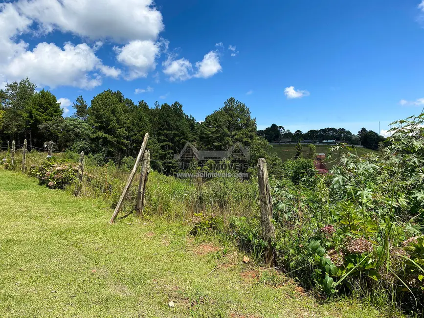 Foto 5 de Lote de Condomínio à venda, 1600m2 em Campos Do Jordao - SP