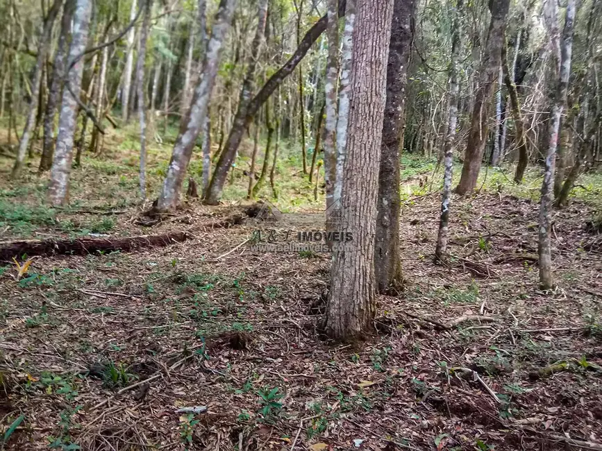 Foto 2 de Terreno / Lote à venda, 1940m2 em Campos Do Jordao - SP