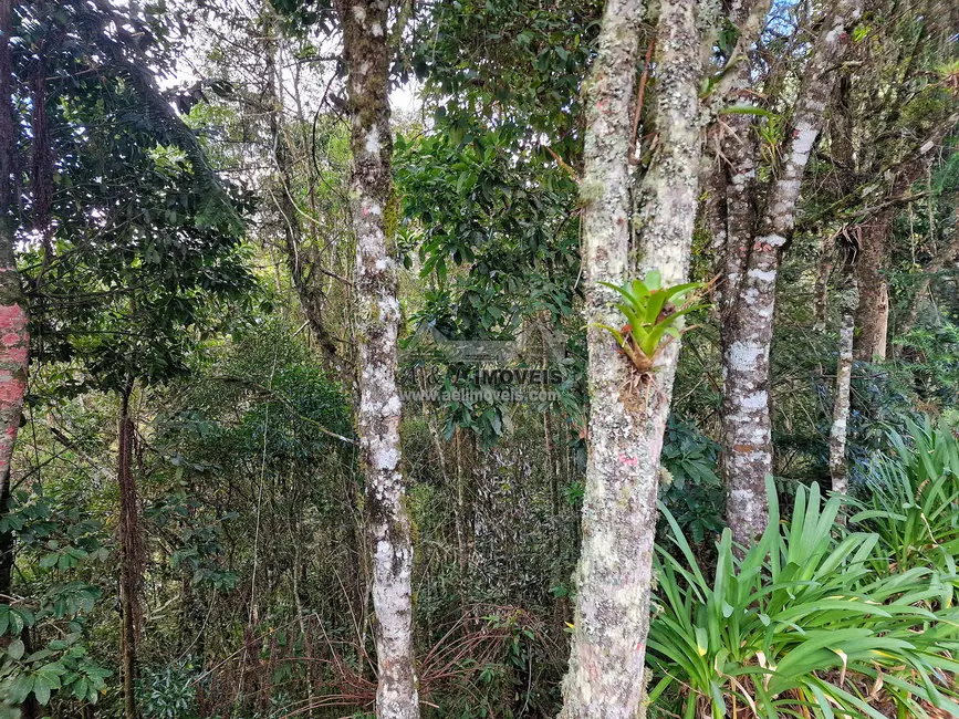 Foto 6 de Terreno / Lote à venda, 1100m2 em Campos Do Jordao - SP