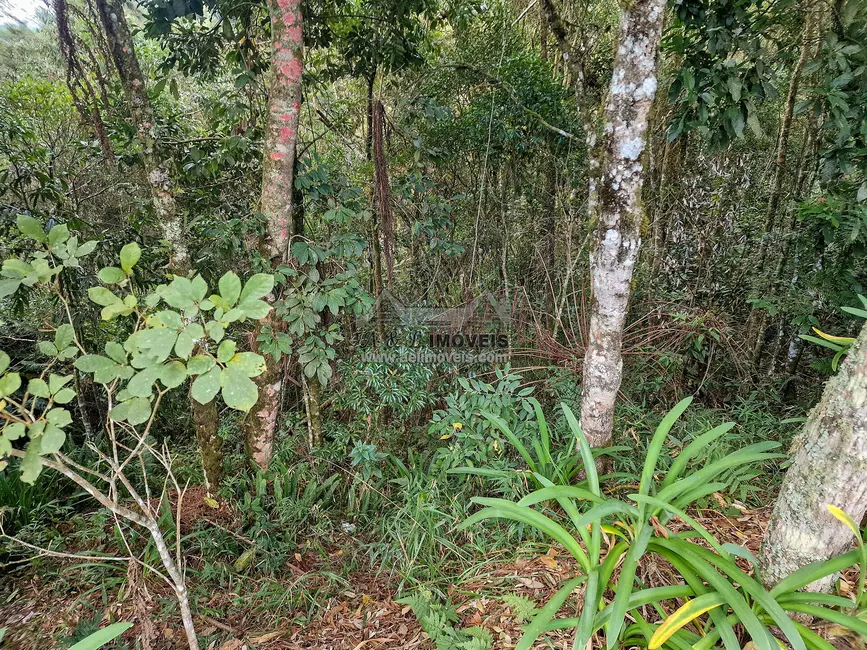Foto 4 de Terreno / Lote à venda, 1100m2 em Campos Do Jordao - SP