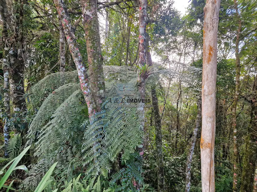 Foto 2 de Terreno / Lote à venda, 1100m2 em Campos Do Jordao - SP