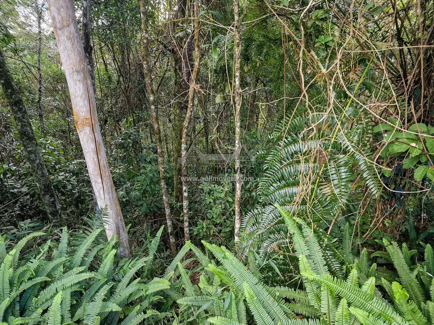 Foto 5 de Terreno / Lote à venda, 1100m2 em Campos Do Jordao - SP