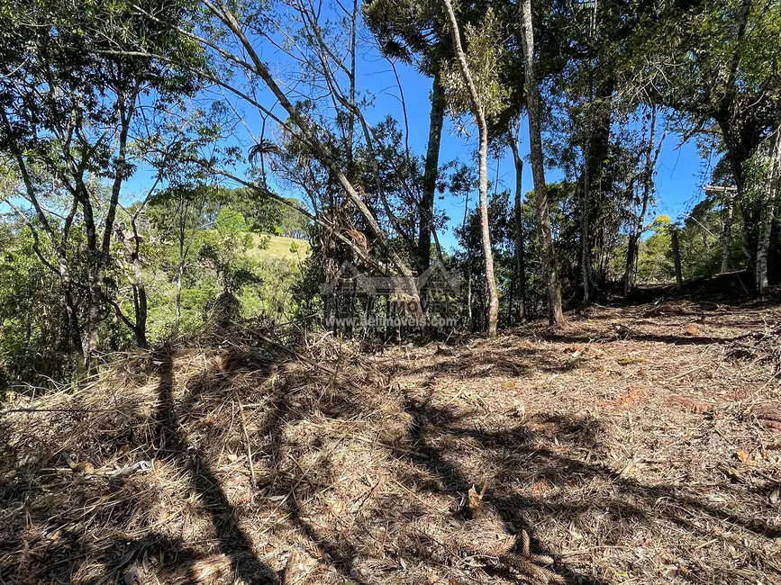 Foto 6 de Terreno / Lote à venda, 1320m2 em Campos Do Jordao - SP