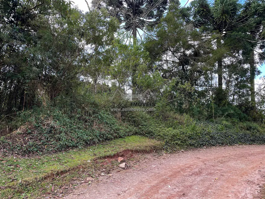 Foto 1 de Terreno / Lote à venda, 1320m2 em Campos Do Jordao - SP