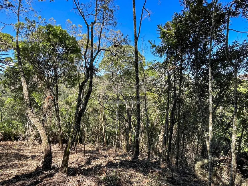 Foto 4 de Terreno / Lote à venda, 1320m2 em Campos Do Jordao - SP