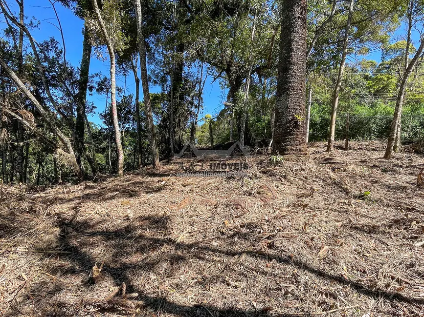 Foto 7 de Terreno / Lote à venda, 1320m2 em Campos Do Jordao - SP