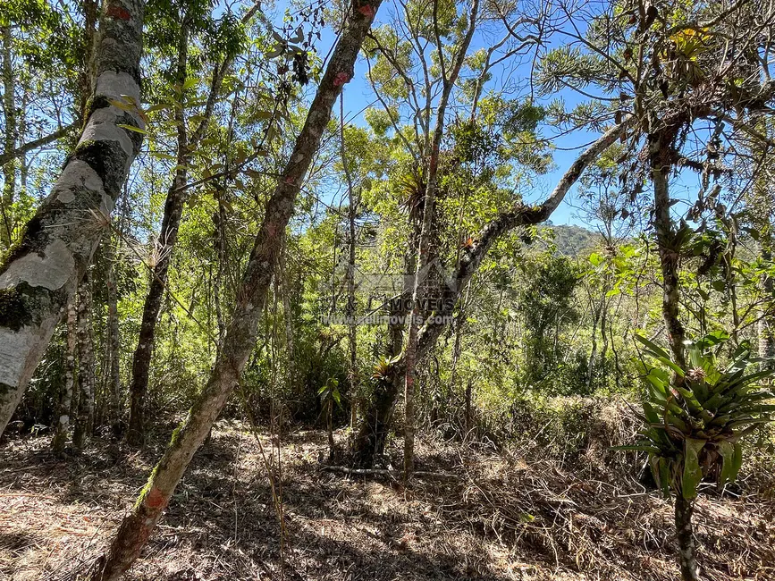 Foto 8 de Terreno / Lote à venda, 1320m2 em Campos Do Jordao - SP