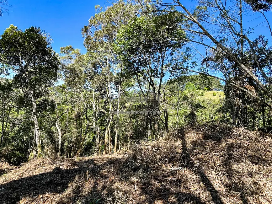 Foto 5 de Terreno / Lote à venda, 1320m2 em Campos Do Jordao - SP