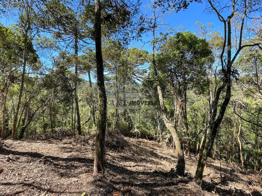 Foto 3 de Terreno / Lote à venda, 1320m2 em Campos Do Jordao - SP