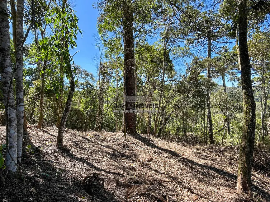 Foto 2 de Terreno / Lote à venda, 1320m2 em Campos Do Jordao - SP