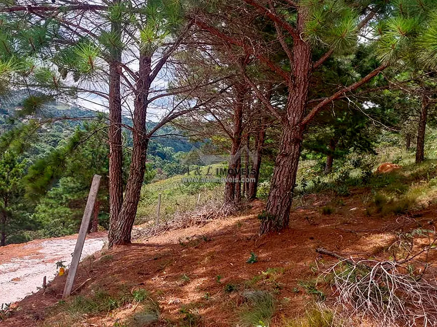 Foto 5 de Terreno / Lote à venda, 1048m2 em Campos Do Jordao - SP