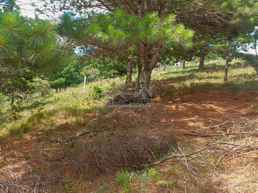 Foto 4 de Terreno / Lote à venda, 1048m2 em Campos Do Jordao - SP