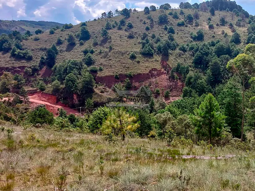 Foto 6 de Terreno / Lote à venda, 1048m2 em Campos Do Jordao - SP