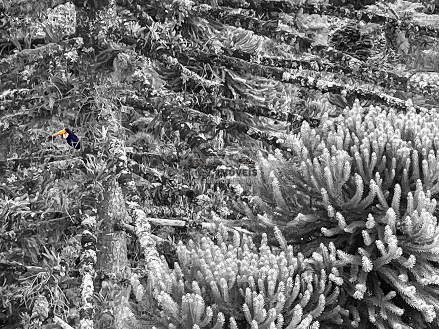 Apartamento com 2 quartos à venda, 88m2 em Campos Do Jordao - SP - imagem 7 Foto 7 de Apartamento com 2 quartos à venda, 88m2 em Campos Do Jordao - SP