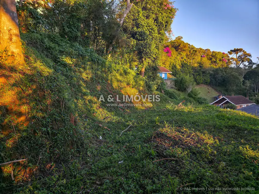 Terreno / Lote à venda, 630m2 em Campos Do Jordao - SP - imagem 8 Foto 8 de Terreno / Lote à venda, 630m2 em Campos Do Jordao - SP