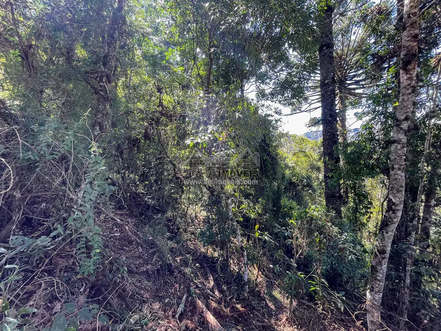 Foto 4 de Terreno / Lote à venda, 825m2 em Campos Do Jordao - SP