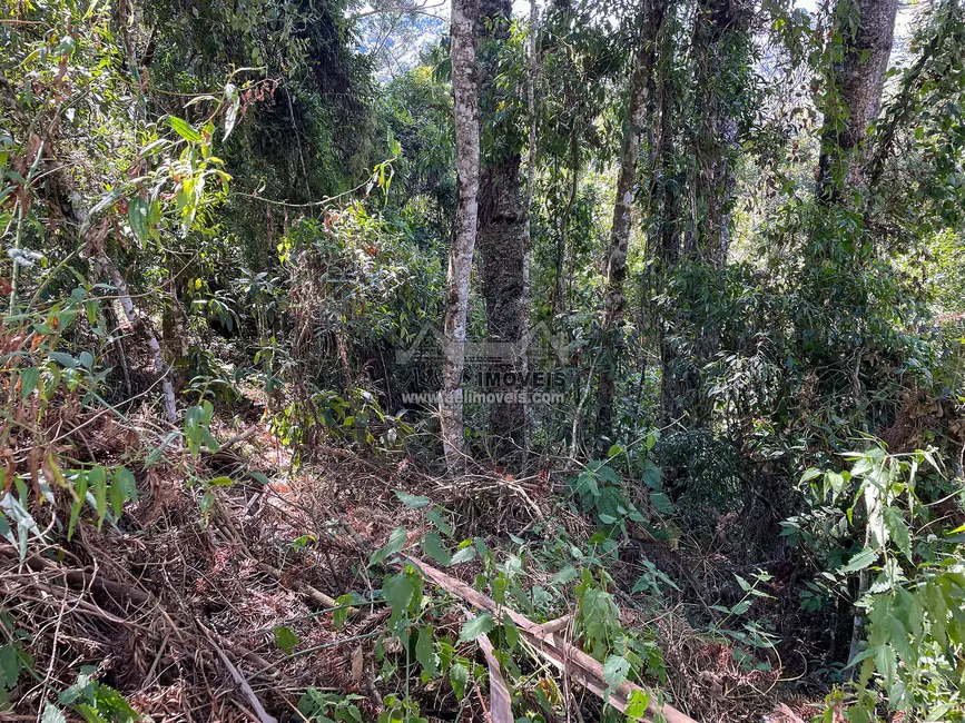 Foto 8 de Terreno / Lote à venda, 825m2 em Campos Do Jordao - SP