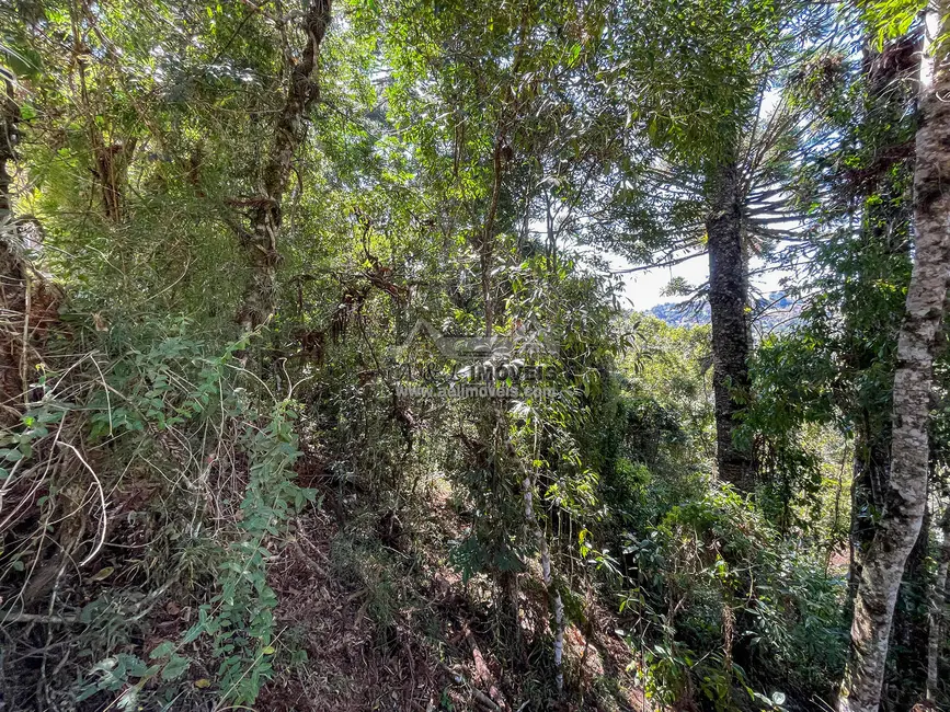 Foto 9 de Terreno / Lote à venda, 825m2 em Campos Do Jordao - SP