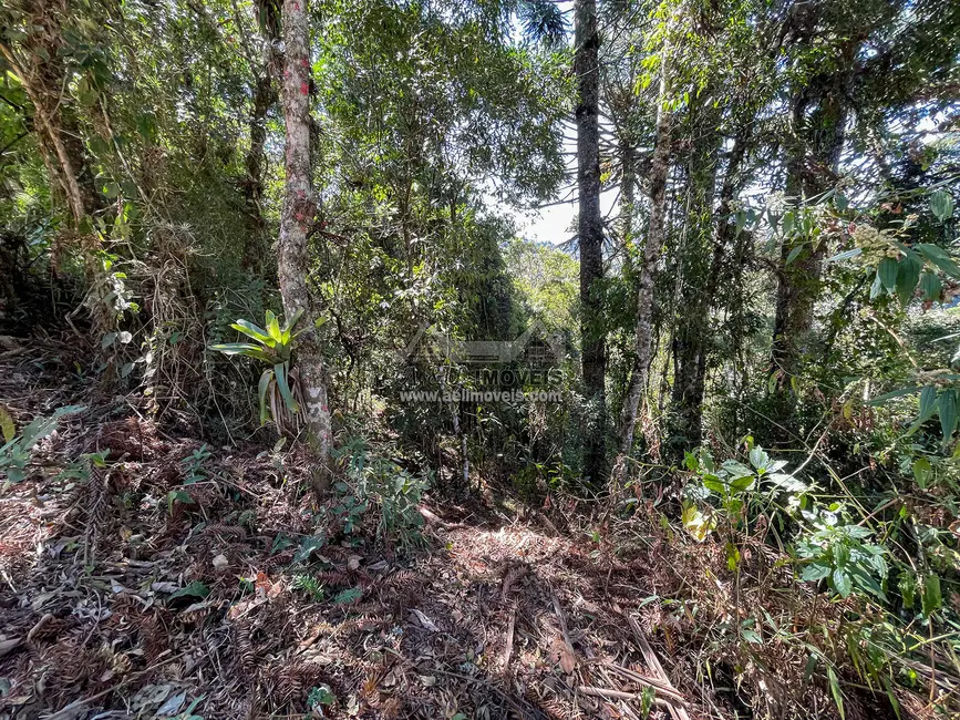 Foto 3 de Terreno / Lote à venda, 825m2 em Campos Do Jordao - SP