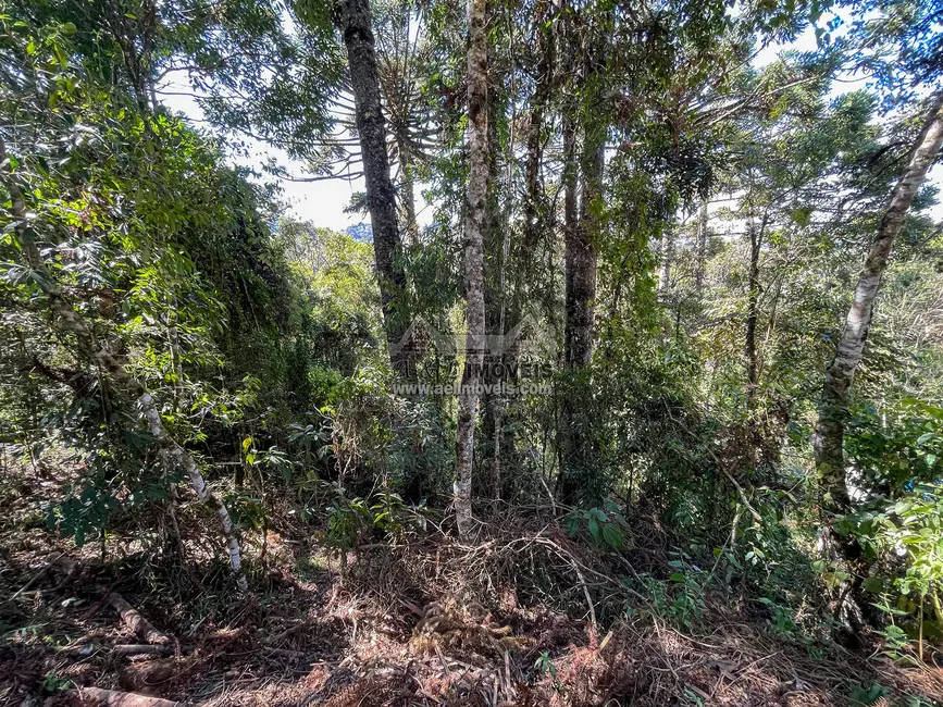 Foto 5 de Terreno / Lote à venda, 825m2 em Campos Do Jordao - SP