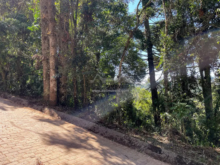 Foto 2 de Terreno / Lote à venda, 825m2 em Campos Do Jordao - SP