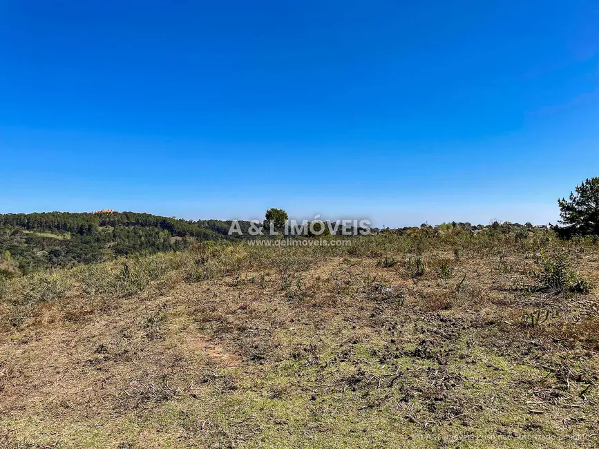 Foto 7 de Terreno / Lote à venda, 5268m2 em Campos Do Jordao - SP