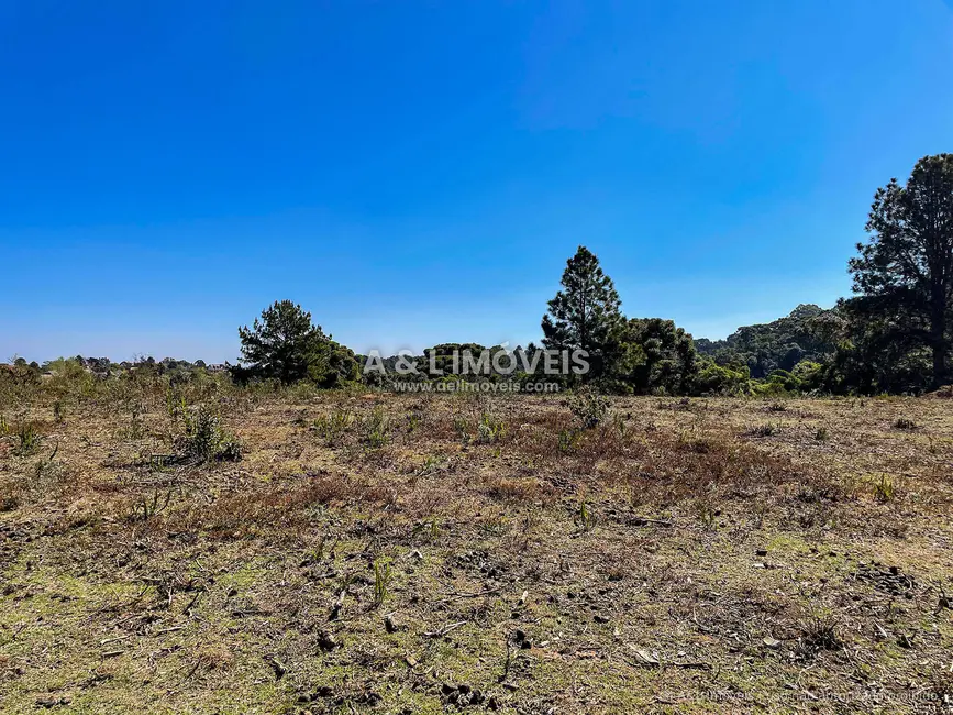 Foto 6 de Terreno / Lote à venda, 5268m2 em Campos Do Jordao - SP