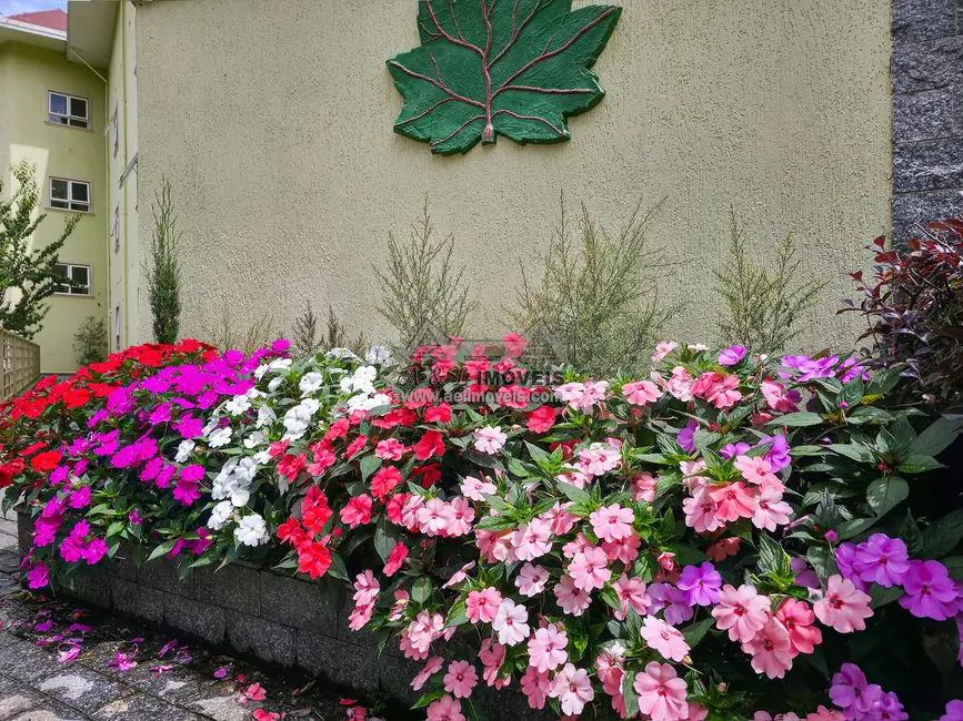 Apartamento com 2 quartos à venda, 76m2 em Campos Do Jordao - SP - imagem 4 Foto 4 de Apartamento com 2 quartos à venda, 76m2 em Campos Do Jordao - SP