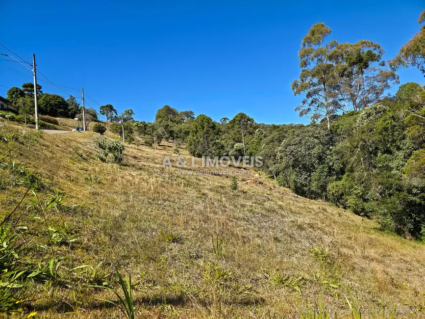 Foto 4 de Lote de Condomínio à venda, 1129m2 em Campos Do Jordao - SP